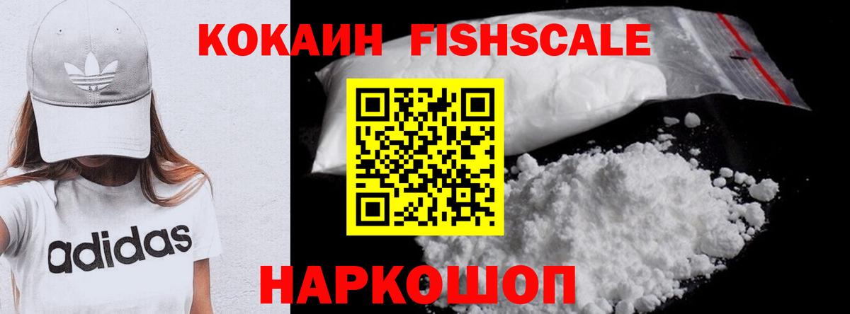 Cocaine Fish Scale  закладки  Вход с VPN  Щёлково  COCAIN VHQ 