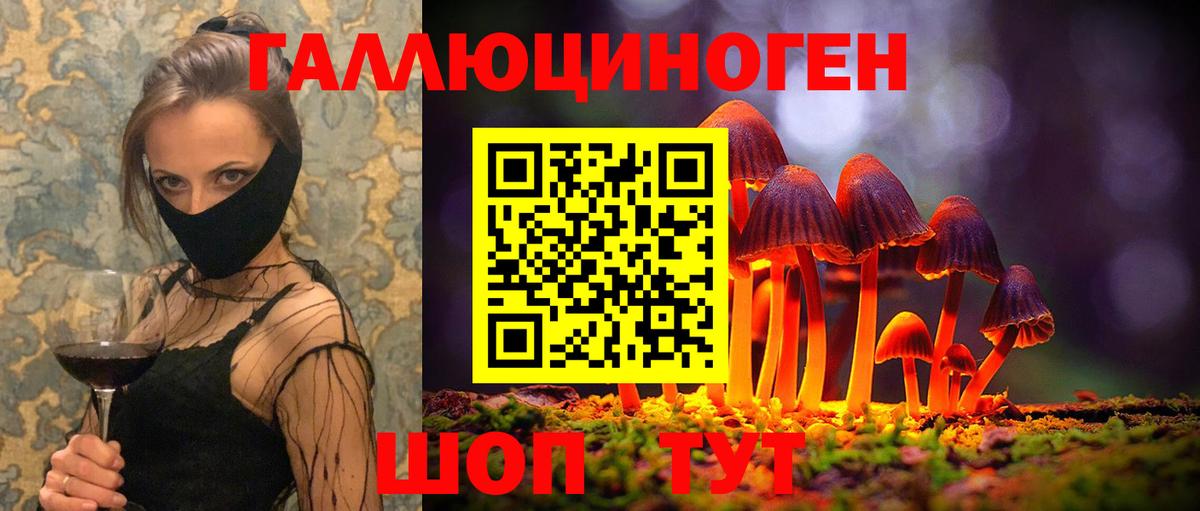 Щёлково  Псилоцибиновые грибы мухоморы  Вход с VPN 